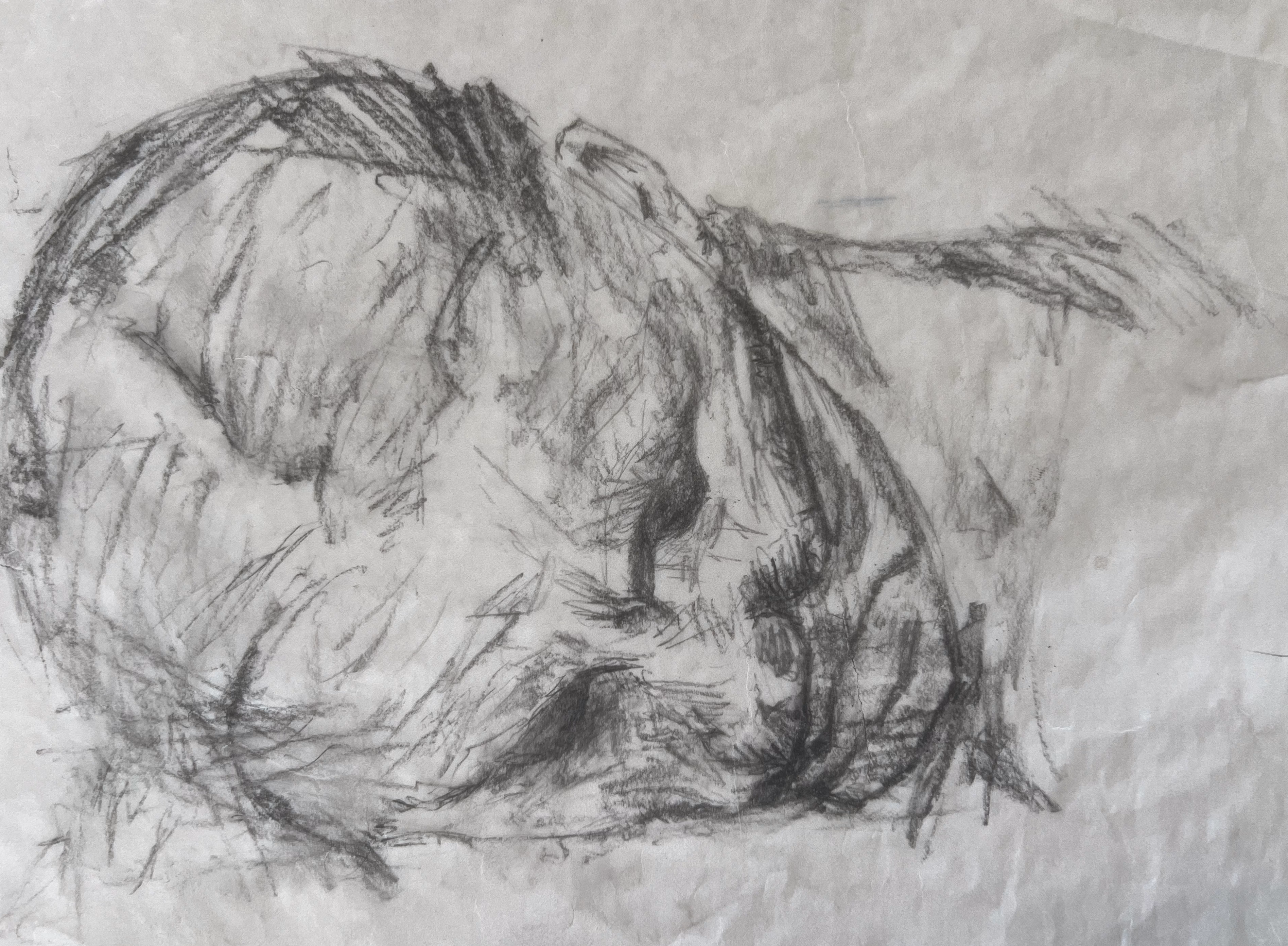 large tilted head in rough charcoal on thin crumpled paper, deep shadowed eye sockets, mouth set