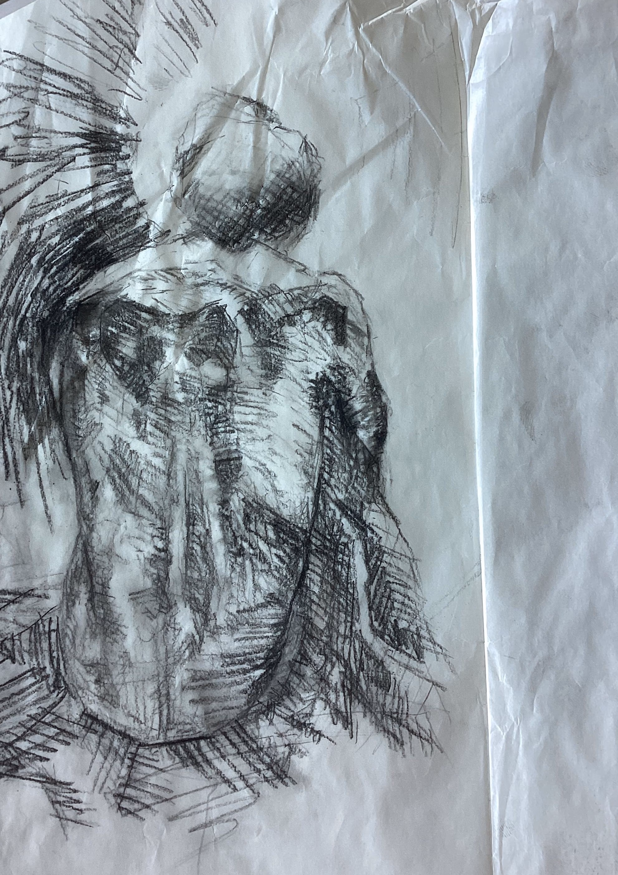 seated figure seen from behind, bare back mapped in crosshatched charcoal, strokes radiating around the silhouette