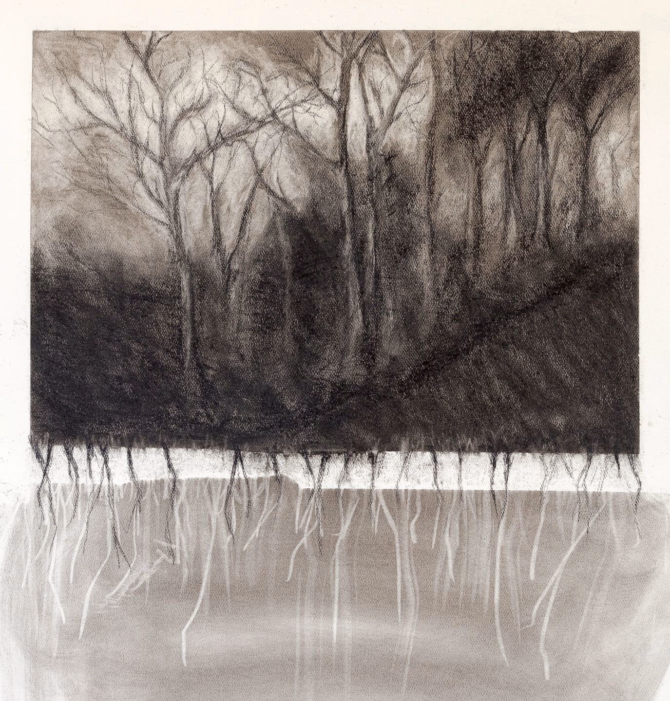 stand of bare charcoal trees on a dark bank, roots descending below the ground line like pale reflections